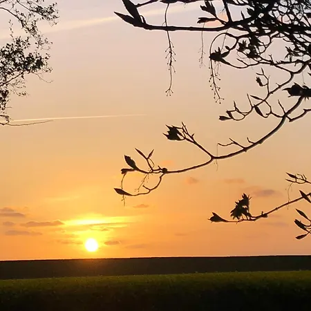 Deichlust * Cappeler Niederstrich