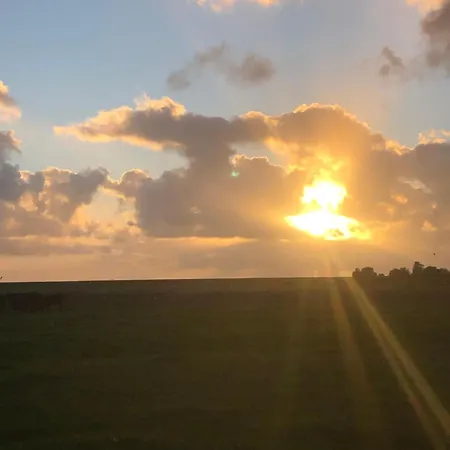 Deichlust Cappeler Niederstrich