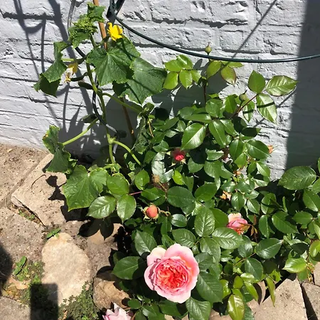 Deichlust Hébergement de vacances