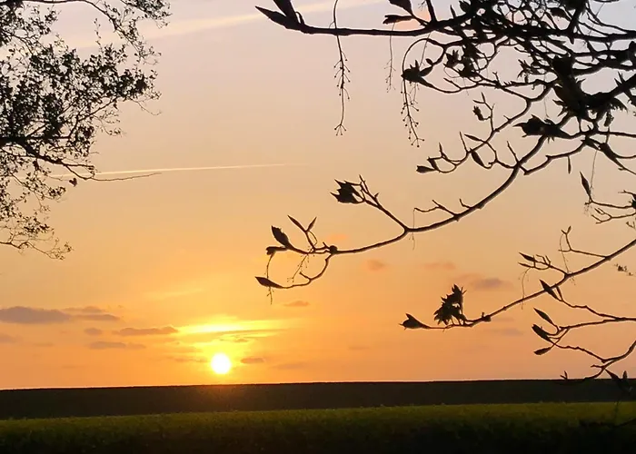 Deichlust * Cappeler Niederstrich