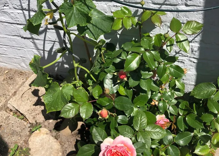 Deichlust Vakantiehuis